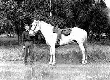 Chief Spencer Turner holding the reins of a white saddled horse.